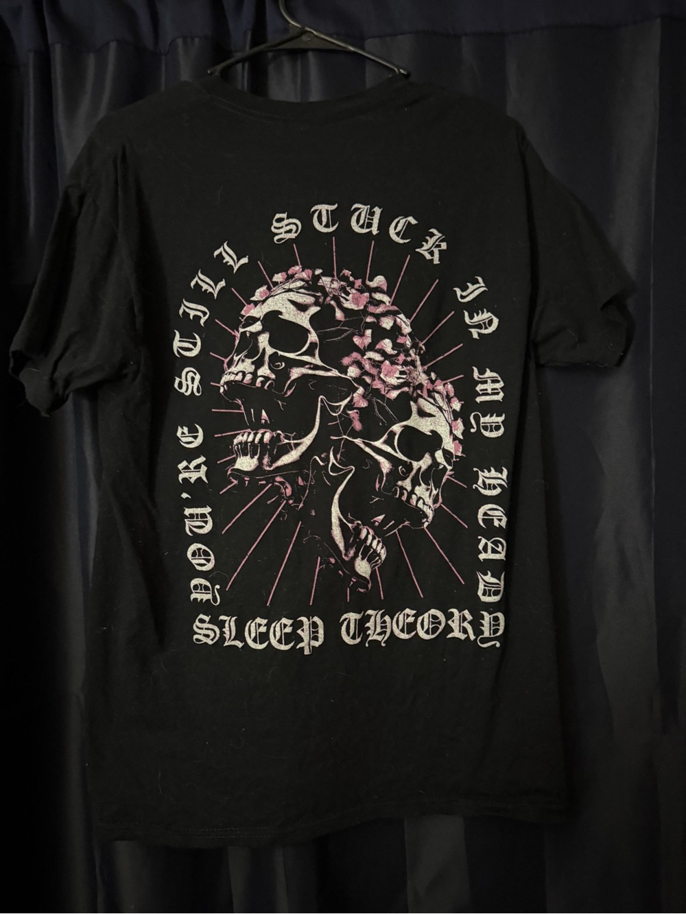 Sleep theory